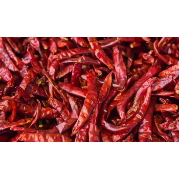  Organic   Guntur Dry Red Chilli